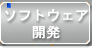 software
